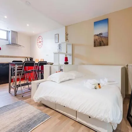 Next To Bordeaux Center With A Terrace * Begles